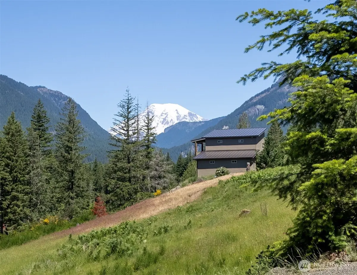 113 Hellem Drive, Packwood, WA 98361 - #1