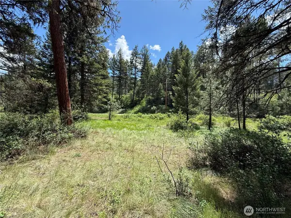21 Pine Grove Street #12,13,14, Republic, WA 99166