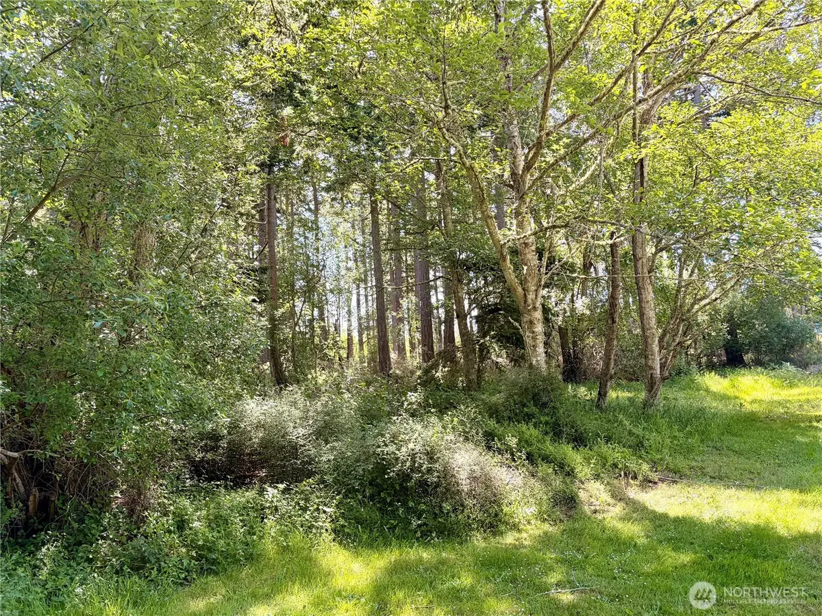 0 Old Cedar Lane, Oak Harbor, WA 98277 - #1