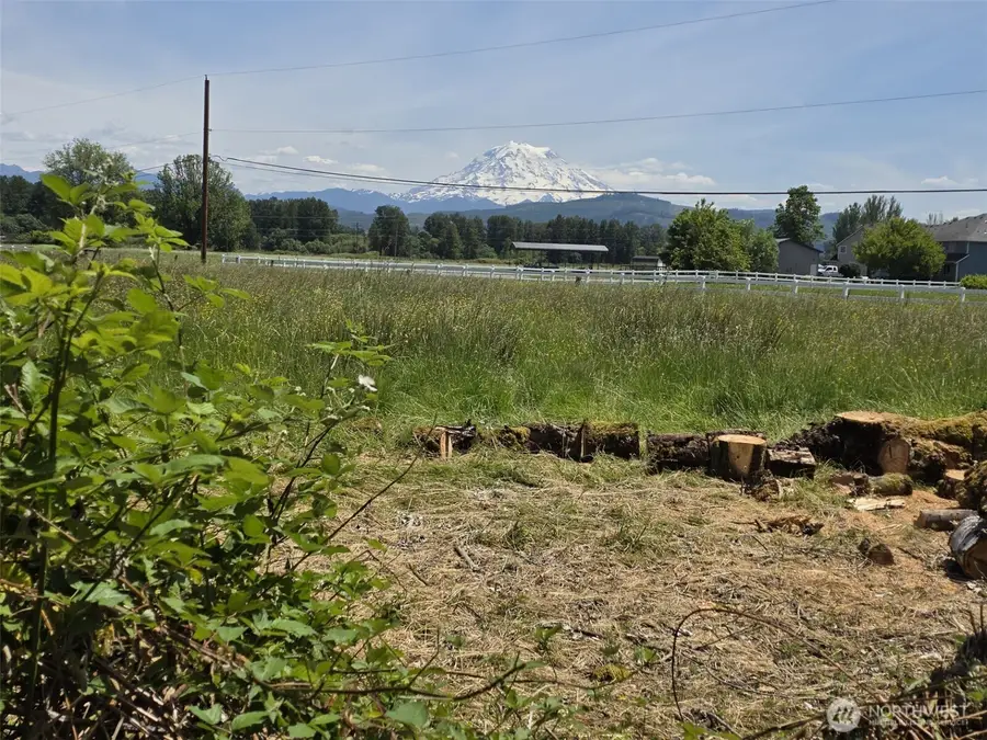14717 168th Street E, Orting, WA 98360 - #2