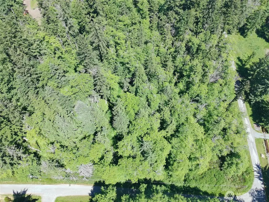 737 Twin View Drive #24, Greenbank, WA 98253 - #2
