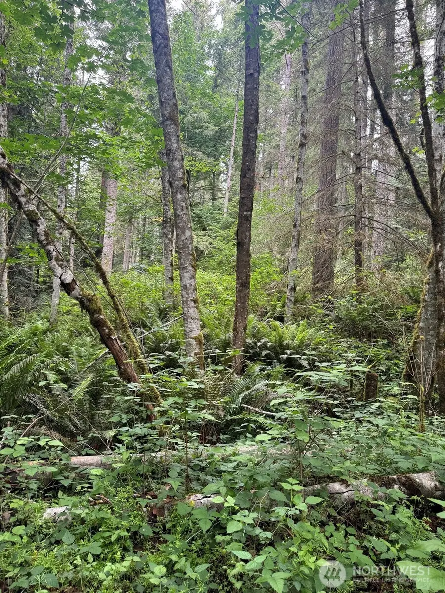 0 Widme Road Ne, Poulsbo, WA 98370 - #3