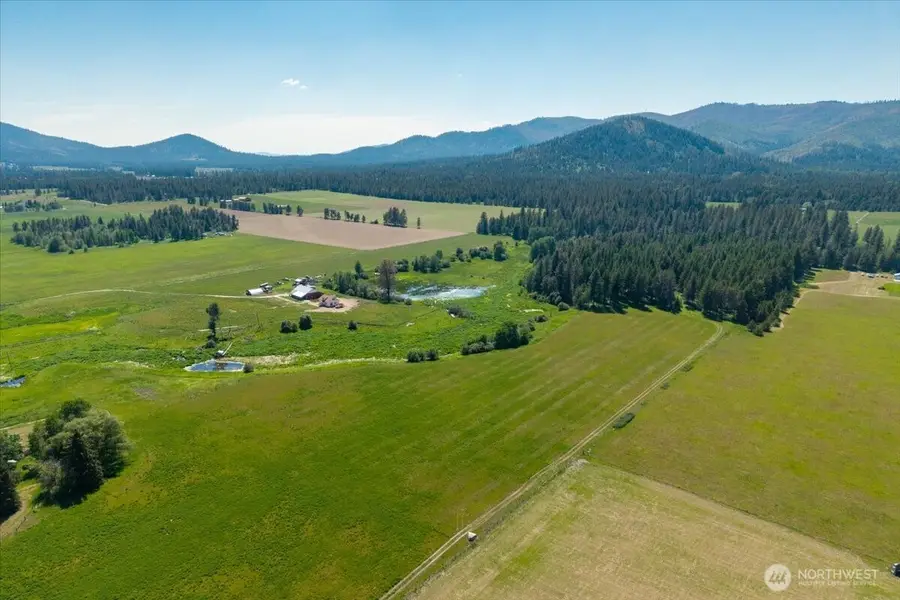 4668 Williams Valley Road, Clayton, WA 99110 - #3