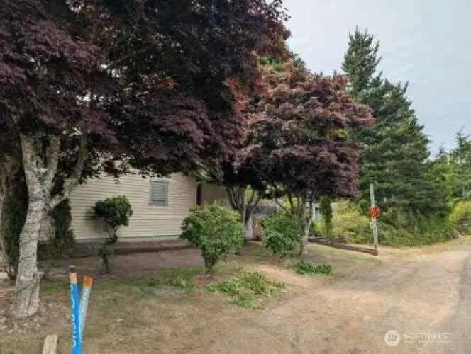 20605 Birch Place, Ocean Park, WA 98640 - #1