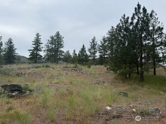 111 Tbd Patterson Creek, Tonasket, WA 98855 - #1