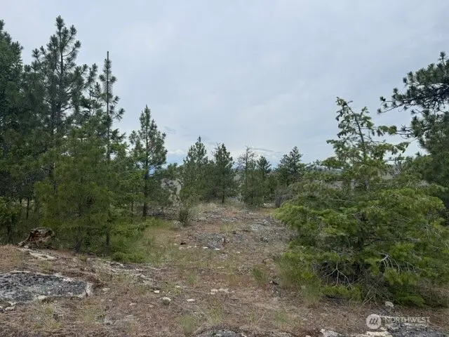 111 Tbd Patterson Creek, Tonasket, WA 98855 - #2