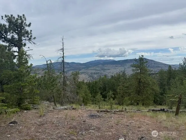 111 Tbd Patterson Creek, Tonasket, WA 98855 - #3