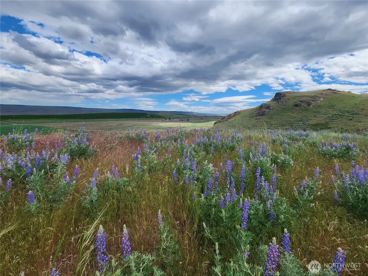 0 Old Highway 97, Brewster, WA 98812 - #1