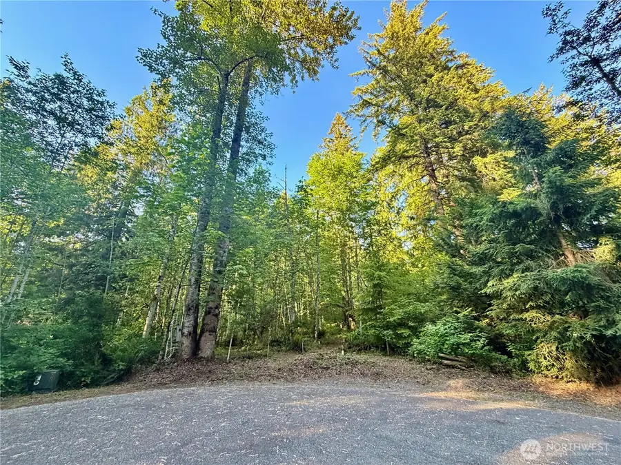 7546 Colleen Court #18, Glacier, WA 98244 - #3