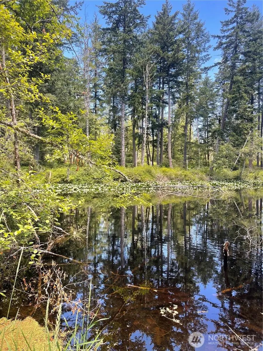 0 Reef Net Road, Friday Harbor, WA 98250 - #2
