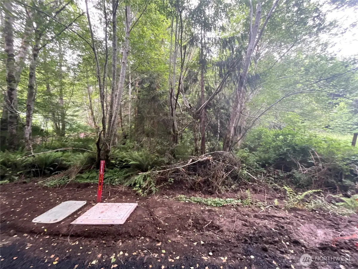 200 W Thunderbird Drive #Lot  38, Elma, WA 98541 - #1