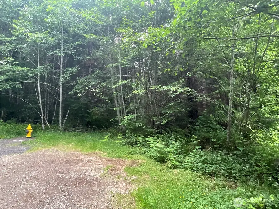 310 W Thunderbird Drive #Lot 30, Elma, WA 98541 - #2