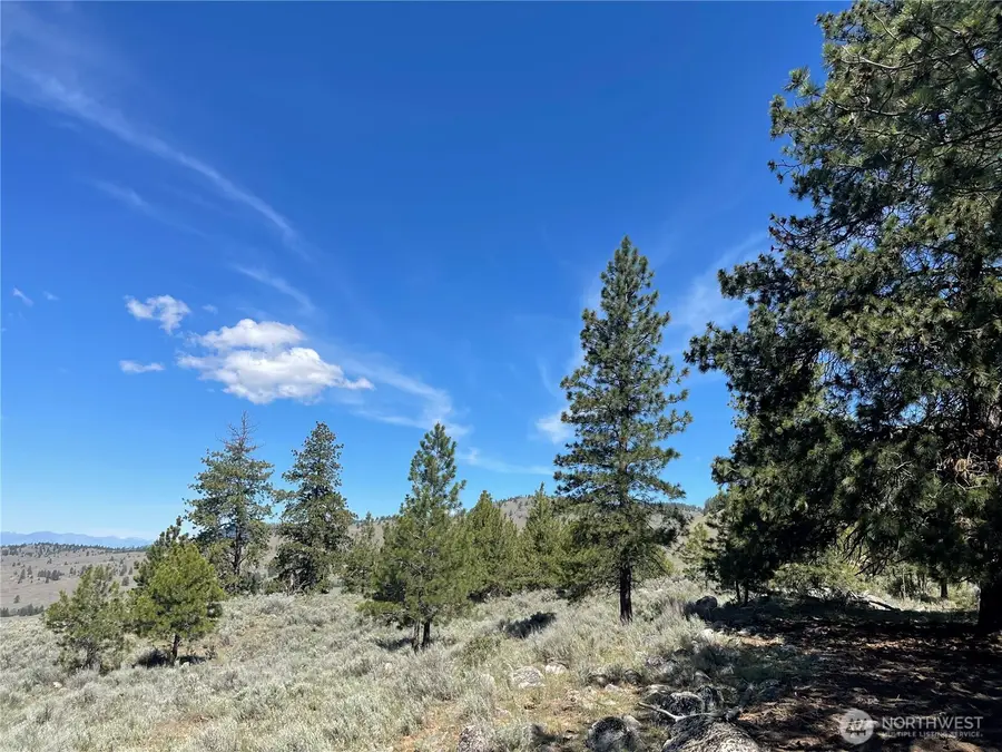 0 111 One Sky View Drive, Tonasket, WA 98855 - #2