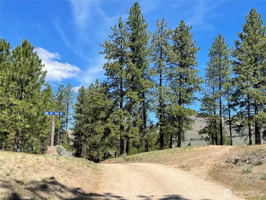 0 111 One Sky View Drive, Tonasket, WA 98855 - #3