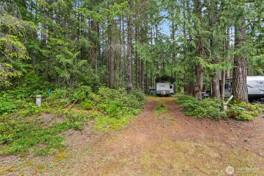 20 N Mount Jupiter Court, Hoodsport, WA 98548 - #2