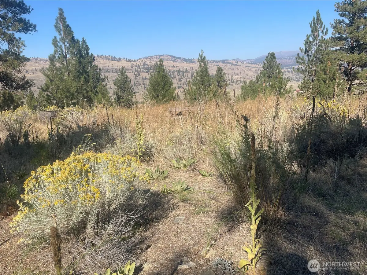 0 Reevas Basin Road #1&2, Tonasket, WA 98855 - #1