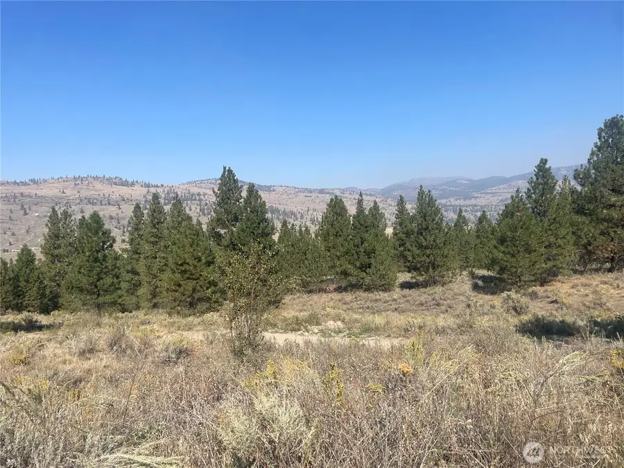 0 Reevas Basin Road #1&2, Tonasket, WA 98855 - #2