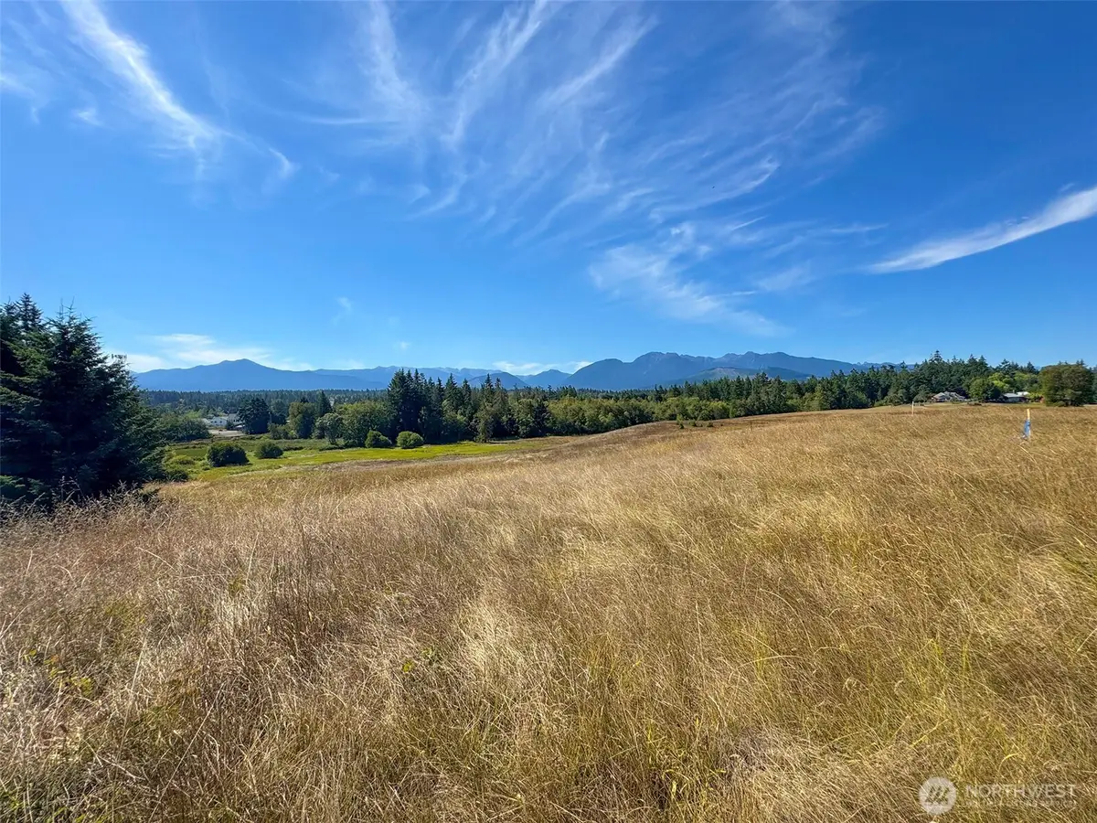 9999 Olympic Meadows, Parcel 11 #11, Port Angeles, WA 98362 - #1