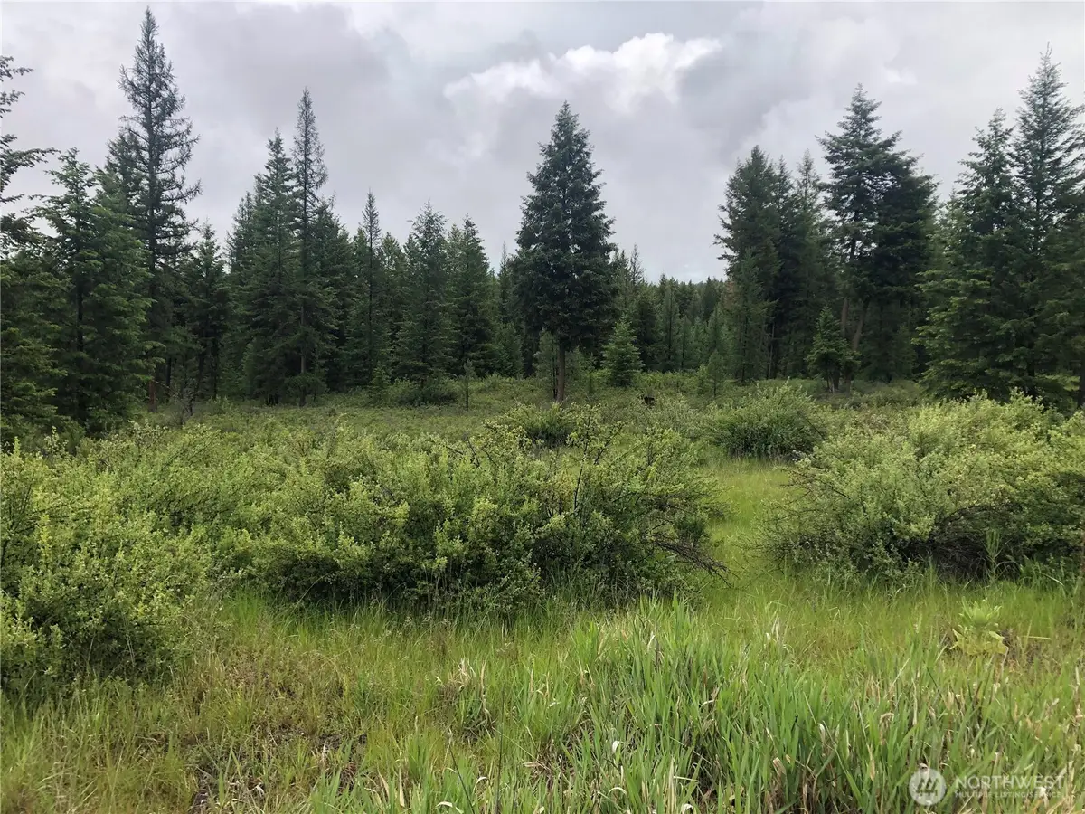36 Corral Drive #8, Oroville, WA 98844 - #1