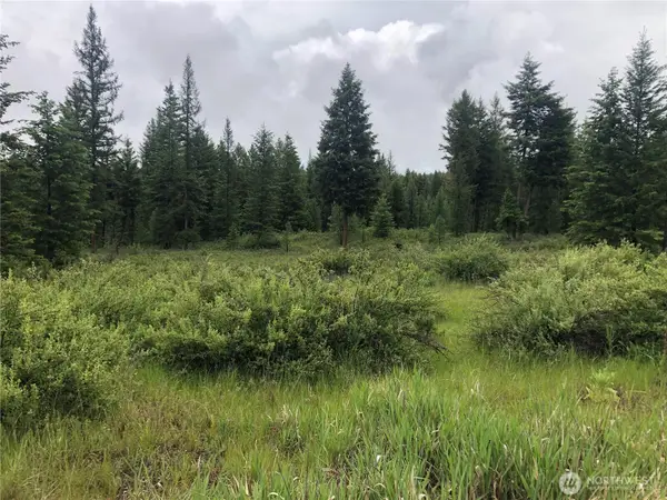 36 Corral Drive #8, Oroville, WA 98844