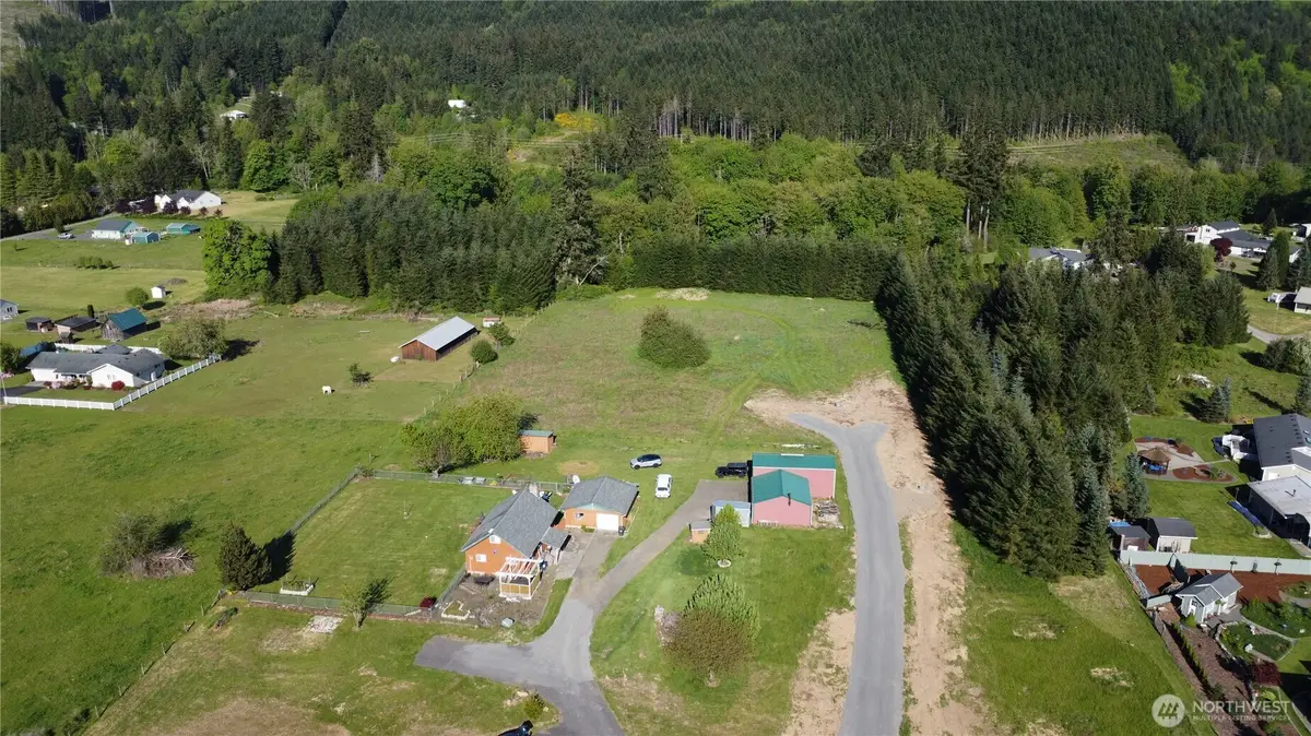 110 Dryad Lane, Castle Rock, WA 98611 - #1