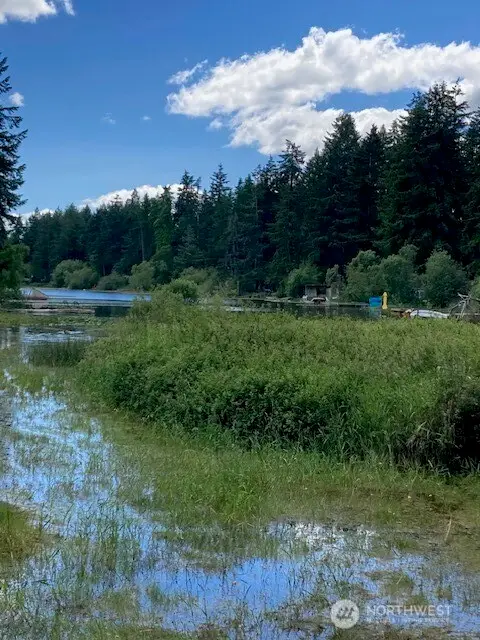 9920 Fairview Lake Road Sw, Port Orchard, WA 98367 - #1