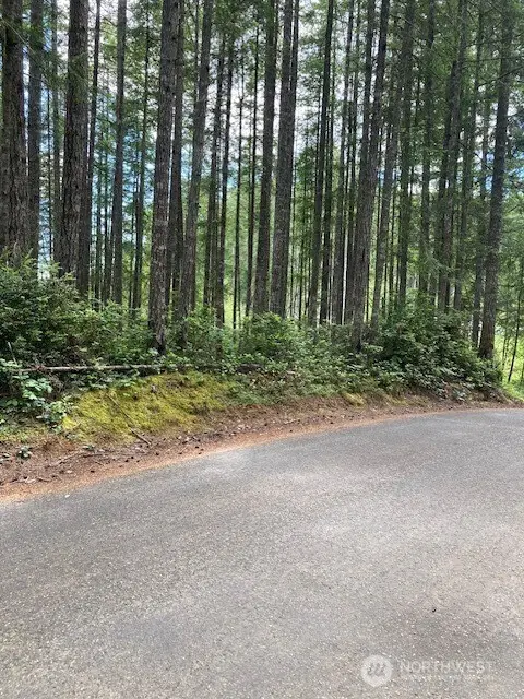 9920 Fairview Lake Road Sw, Port Orchard, WA 98367 - #2