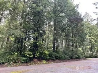 11307 114th Street Ct #120, Anderson Island, WA 98303 - #1