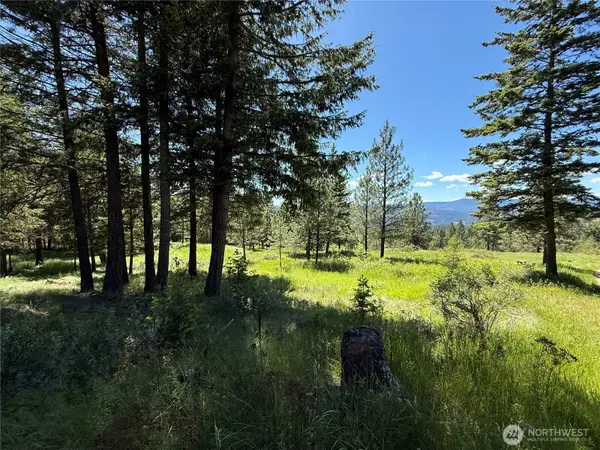 5 Hidden Spring Ranch Road #Lot 2, Republic, WA 99166