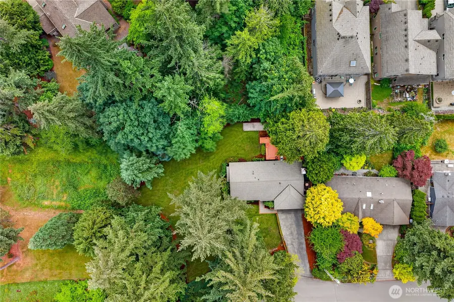 21313 NE 10th Place, Sammamish, WA 98074 - #2
