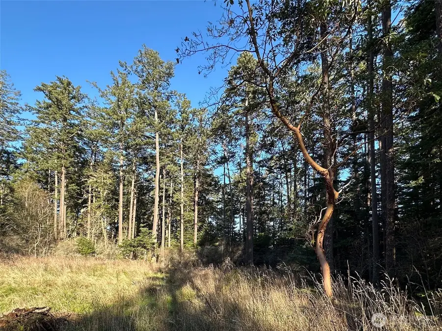 206 Island Drive #5, Friday Harbor, WA 98250 - #3