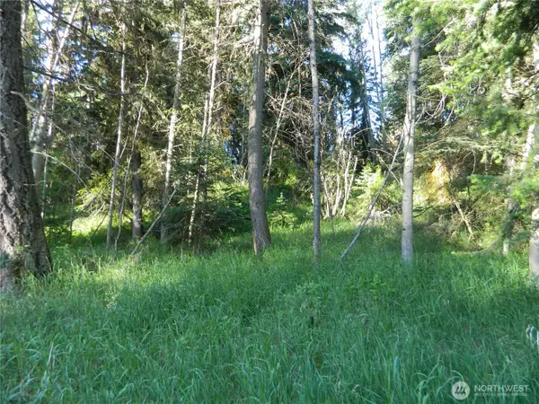0 Tbd Lake View Drive #20, Oroville, WA 98844