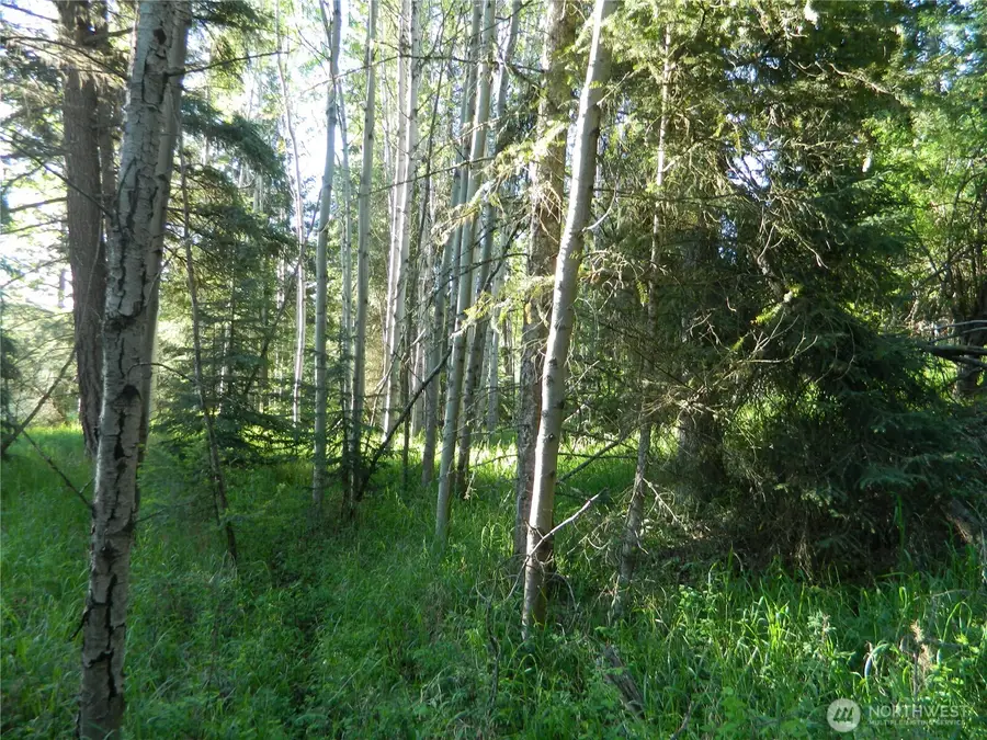 0 Tbd Lake View Drive #20, Oroville, WA 98844 - #3