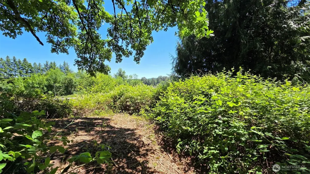 123 Mulford Road, Toledo, WA 98591 - #1