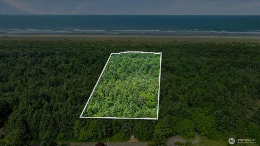4 Lot Chickamin Avenue, Ocean Shores, WA 98569 - #2