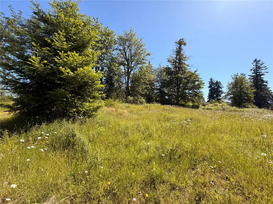 10252 400th Street E, Eatonville, WA 98328 - #3