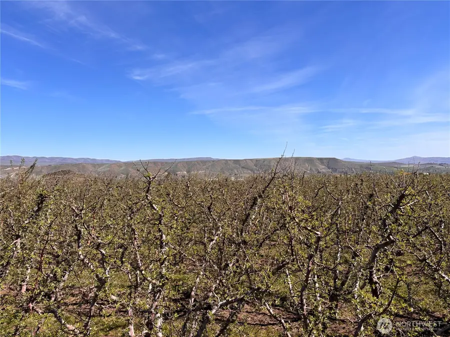 0 Rosenkranze Road, Tieton, WA 98947 - #3