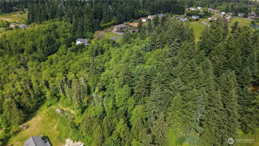9717 254th Street E, Graham, WA 98338 - #3