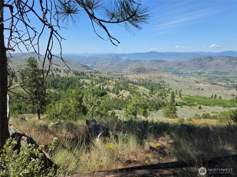 431 Swanson Hill Road, Tonasket, WA 98855 - #2