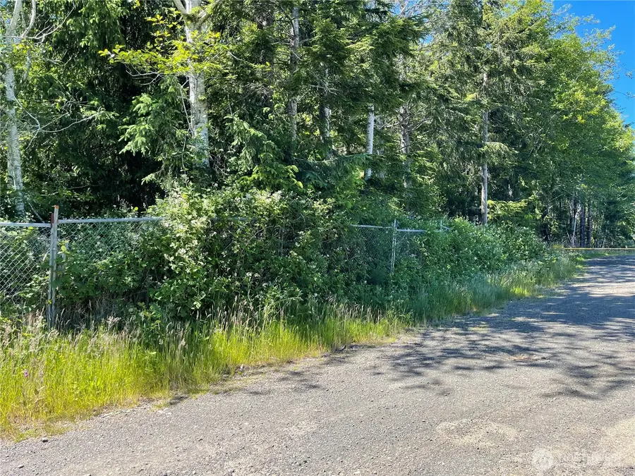 20 Keal Road, Copalis Beach, WA 98535 - #3