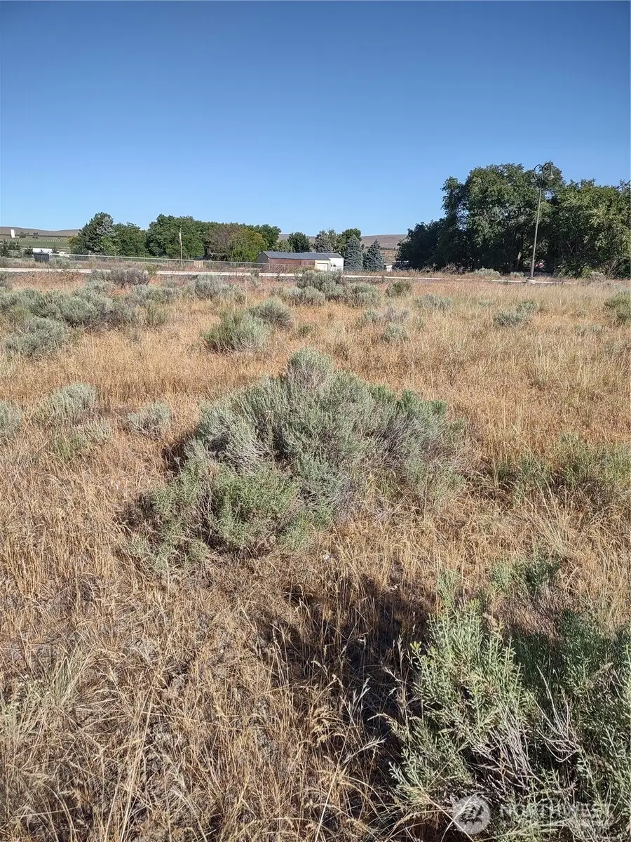 0 S Division Street, Soap Lake, WA 98851 - #2