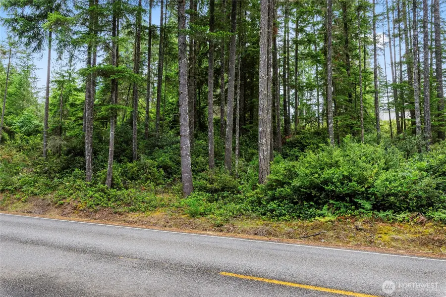 4611 E Rasor Road W #49, Belfair, WA 98528 - #2