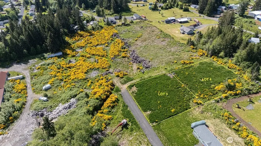 99 Newton Lot 4 Road #4, Forks, WA 98331 - #2
