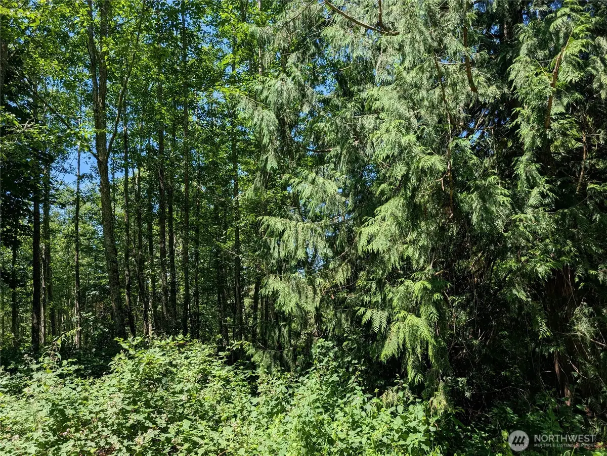 21646 Snowden Drive, Mount Vernon, WA 98274 - #1
