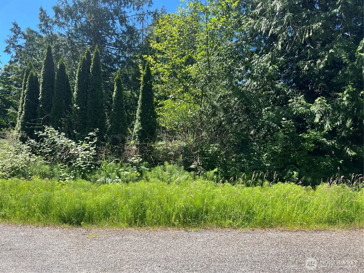 0 Jonna Drive #43, Point Roberts, WA 98281 - #1