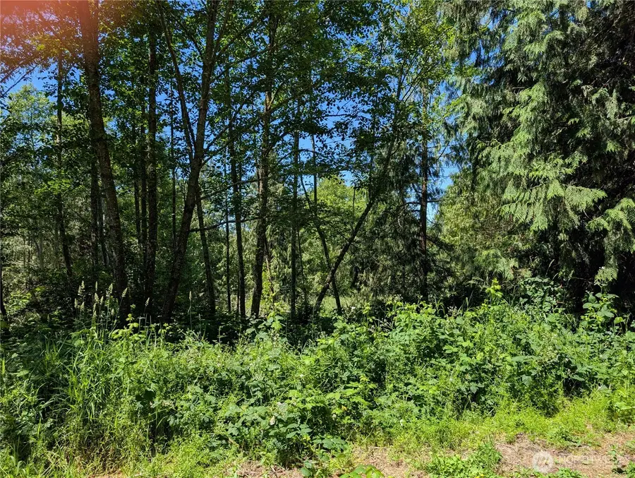 21660 Snowden Drive, Mount Vernon, WA 98274 - #2