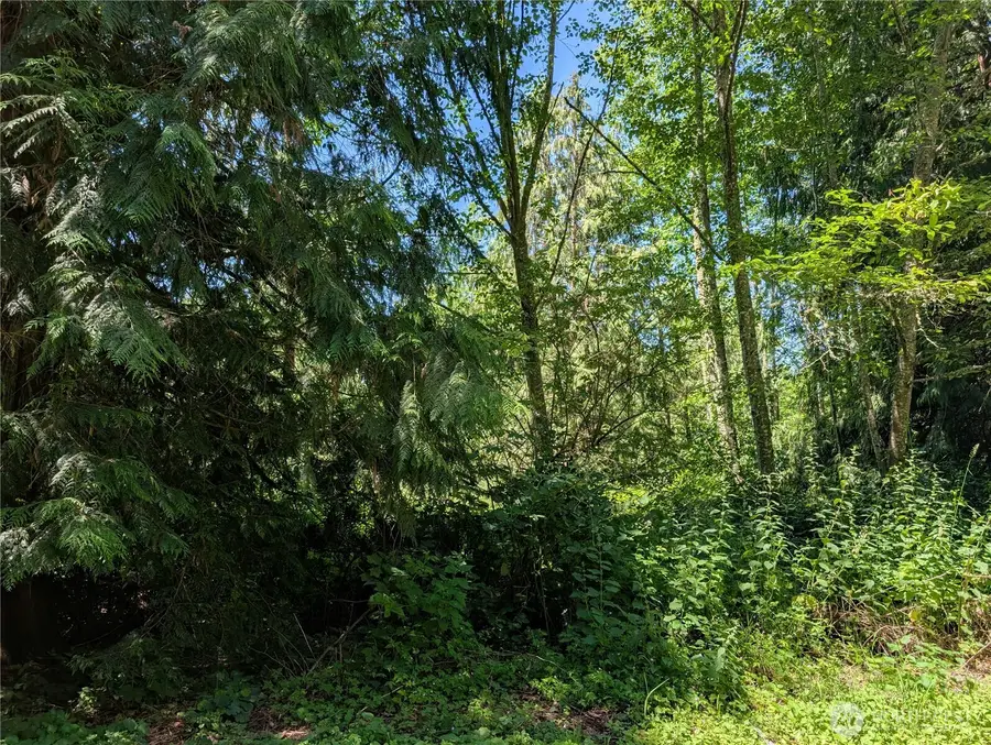21660 Snowden Drive, Mount Vernon, WA 98274 - #3