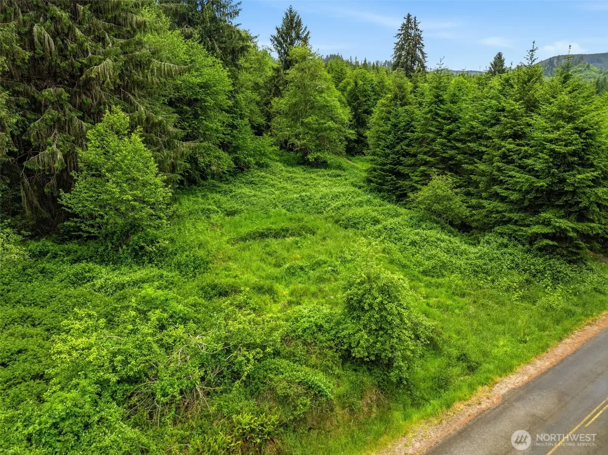 0 E Valley Road, Skamokawa, WA 98647 - #1