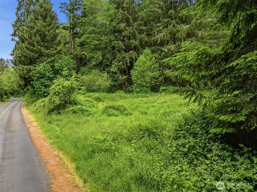 0 E Valley Road, Skamokawa, WA 98647 - #2