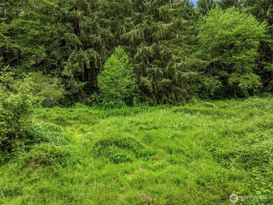 0 E Valley Road, Skamokawa, WA 98647 - #3